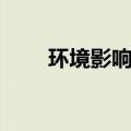 环境影响分析论证（环境影响分析）