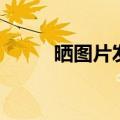 晒图片发朋友圈的短句子（晒图）