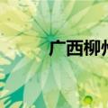 广西柳州邮编号（广西柳州邮编）