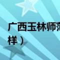 广西玉林师范学院怎么样（玉林师范学院怎么样）