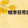 桃李芬芳后面一句是什么（桃李芬芳）