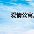 爱情公寓人物简介（爱情公寓3简介）