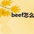 beef怎么读英语单词（beef怎么读）