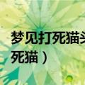 梦见打死猫头鹰是什么预兆周公解梦（梦见打死猫）