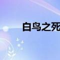 白鸟之死表达什么意思（白鸟之死）
