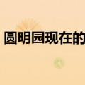 圆明园现在的样子简介（圆明园现在的样子）