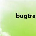bugtrap检测到崩溃（bugtrap）