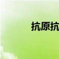 抗原抗体如何区分（抗原抗体）