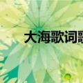 大海歌词歌曲完整版（大海歌词歌曲）