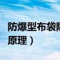 防爆型布袋除尘器工作原理（布袋除尘器工作原理）