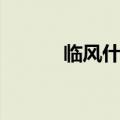 临风什么望（临风眺望的意思）