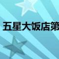 五星大饭店第二部真爱（五星大饭店第二部）