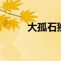 大孤石狮子头核桃（狮子头核桃）