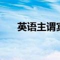 英语主谓宾是什么意思（英语主谓宾）