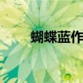 蝴蝶蓝作品哪个好看（蝴蝶蓝作品）