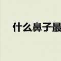 什么鼻子最好看男生（什么鼻子最好看）