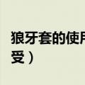 狼牙套的使用方法和感受（狼牙套老婆使用感受）