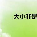 大小非是啥意思（大小非什么意思）