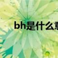 bh是什么意思的缩写（bh是什么意思）
