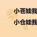 小苍娃我离了登封小县|小仓娃我离了登封小县（小苍mm）