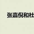 张嘉倪和杜淳同居七年（张嘉倪和杜淳）
