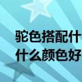 驼色搭配什么颜色好看图片 围巾（驼色搭配什么颜色好看）