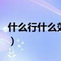 什么行什么效成语有哪些（什么行什么效成语）