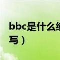 bbc是什么缩写和含义（bbc是什么意思的缩写）