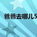 爸爸去哪儿5名单（爸爸去哪儿5有哪些人）