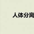 人体分离魔术教学（人体分离魔术）