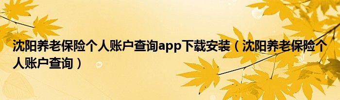 沈阳养老保险个人账户查询app下载安装（沈阳养老保险个人账户查询）