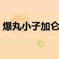 爆丸小子加仑炎龙正版（爆丸小子加仑炎龙）