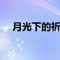 月光下的祈祷英文铃声（月光下的祈祷）