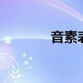 音素表是什么意思（音素表）
