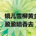 蛾儿雪柳黄金缕笑语盈盈暗香去的意思（笑语盈盈暗香去）