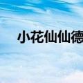 小花仙仙德瑞拉大佬（小花仙仙德瑞拉）