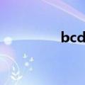 bcd码什么意思（bcd码）