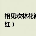 相见欢林花谢了春红李煜（相见欢林花谢了春红）