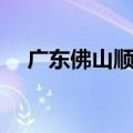 广东佛山顺德区的邮编（佛山顺德邮编）