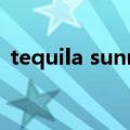 tequila sunrise现场版（tequila sunrise）