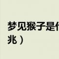 梦见猴子是什么预兆解梦（梦见猴子是什么预兆）