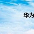 华为一键优化（一键优化）