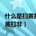 什么是扫黄打非什么是违法出版物（什么是扫黄打非）