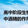 高中阶段生物实验酒精的作用（高中生物实验中酒精的作用）