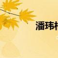潘玮柏什么歌（潘玮柏慢歌）