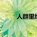 人群里纷飞（在一群纷飞里幻灭）
