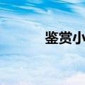 鉴赏小石潭记（小石潭记赏析）
