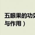 五眼果的功效与作用百度百科（五眼果的功效与作用）