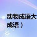 动物成语大全 四字词语（动物成语大全四字成语）