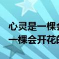 心灵是一棵会开花的树读后感100字（心灵是一棵会开花的树）